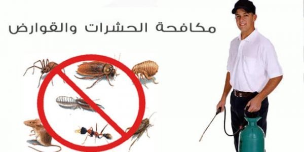 مكافحة حشرات حي الراكة